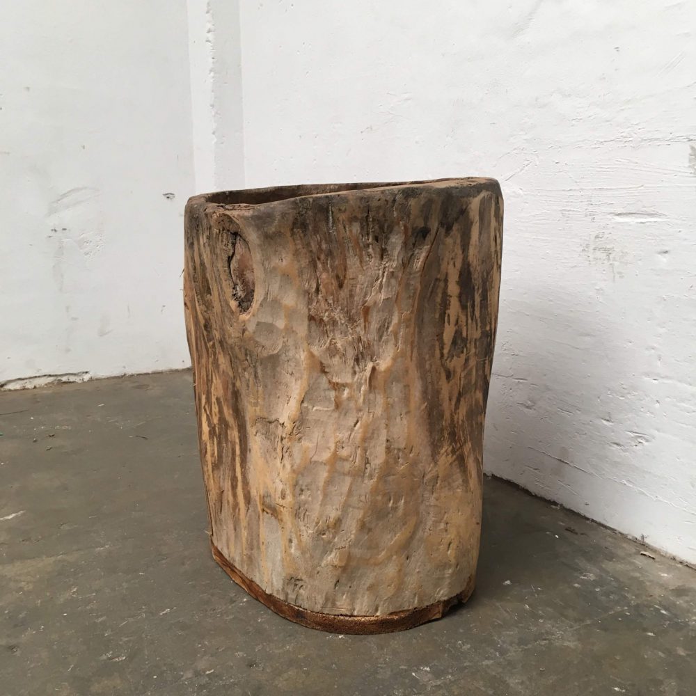 Boomstam bak - Afbeelding 3