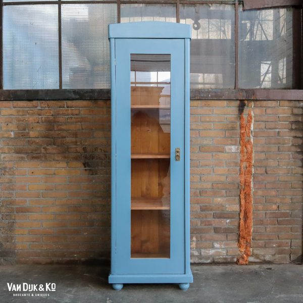 Blauwe eendeurs vitrinekast