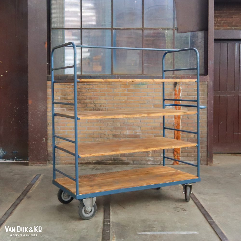 Blauw industrieel rek/trolley