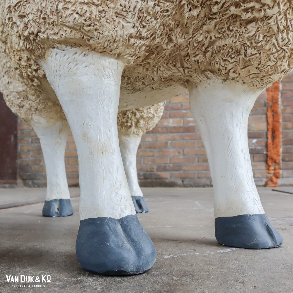 Schaap - Afbeelding 8