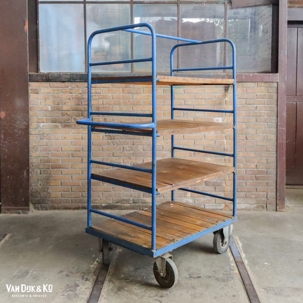 Blauw industrieel rek/trolley