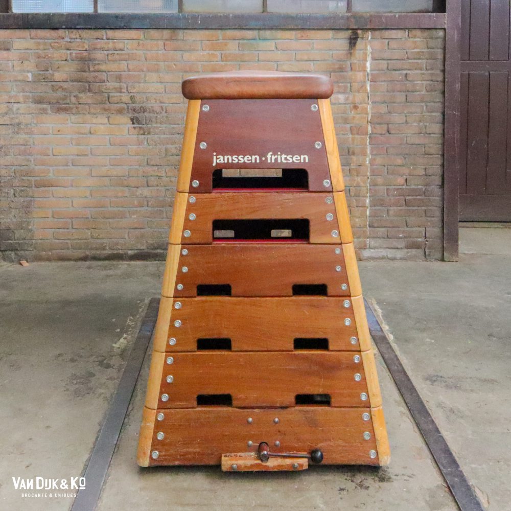 Vintage gymkast - Afbeelding 4