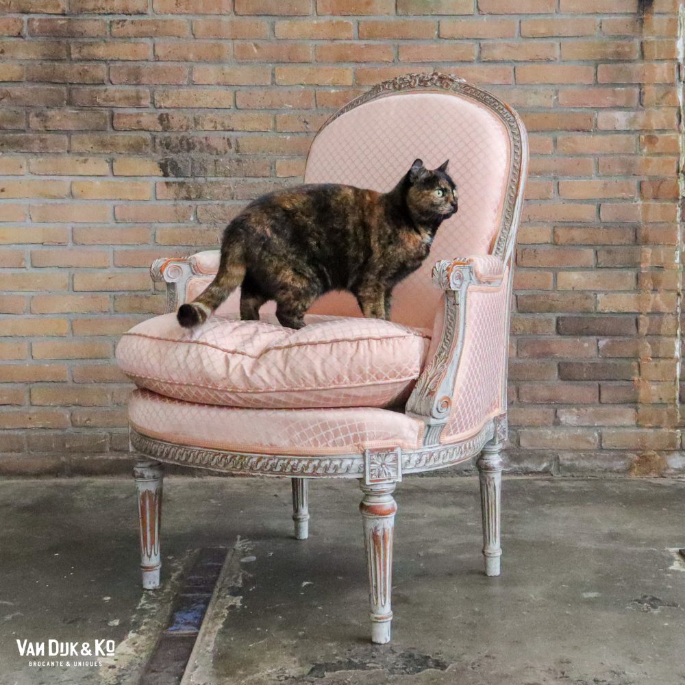 Vintage roze fauteuil