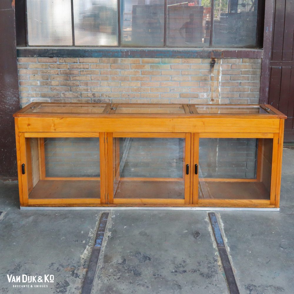 Antieke museumkast / vitrinekast - Afbeelding 4