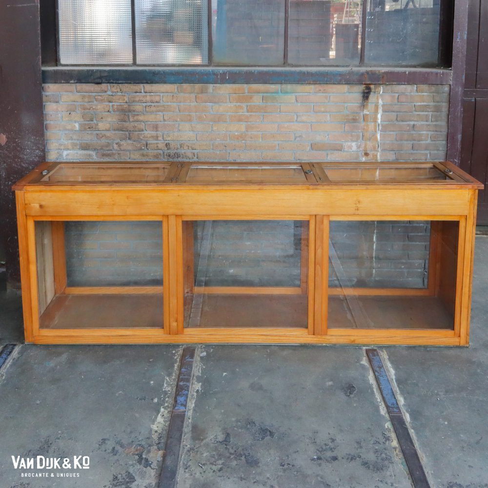 Antieke museumkast / vitrinekast - Afbeelding 2