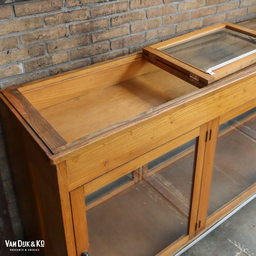 Antieke museumkast / vitrinekast - Afbeelding 9