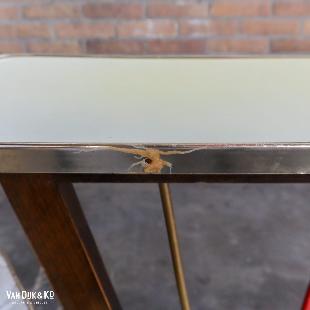 Vintage formica plantentafel - Afbeelding 4