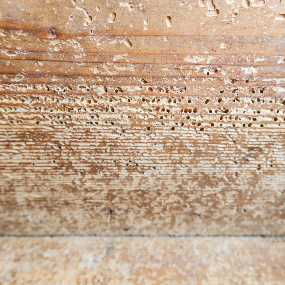 Houten kist - antiek - Afbeelding 7