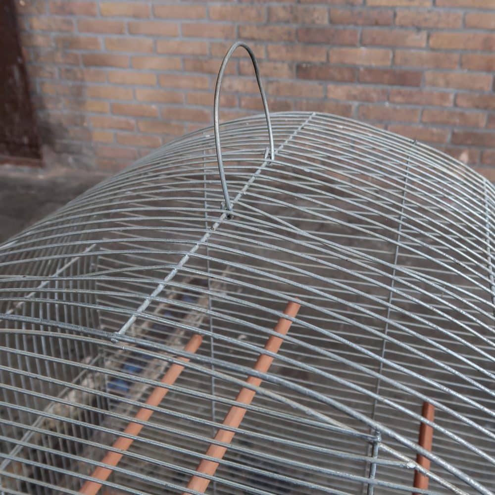 Brocante vogelkooi - Afbeelding 3