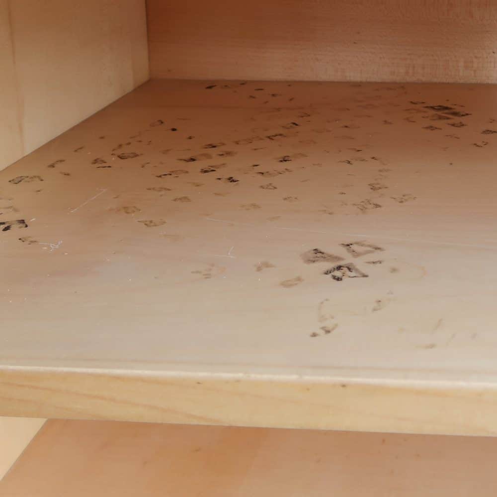 Vintage dressoir - Pieter de Bruyne - Afbeelding 8