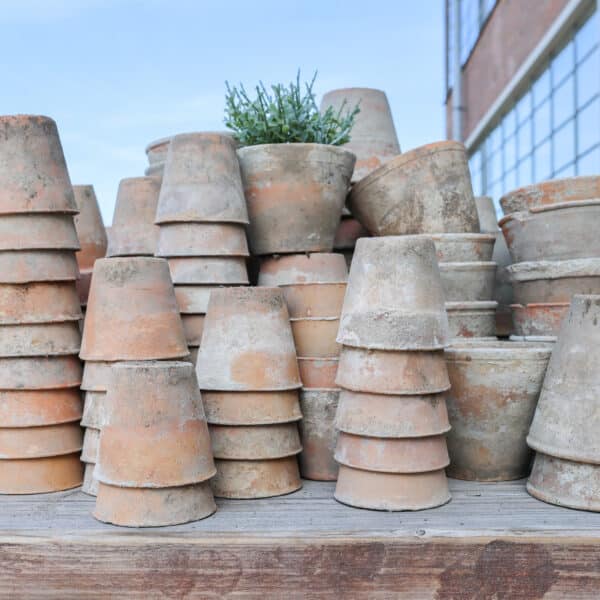 Kweekpotjes